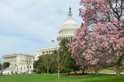 Spring into the Spirit of Washington DC