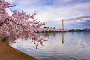 The Best of August in Washington